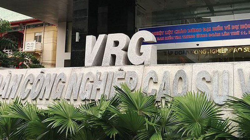 Cổ phần hóa Tập đoàn cao su Việt Nam - IPO
