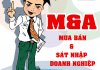 Tư vấn bất động sản, đất đai, nhà ở