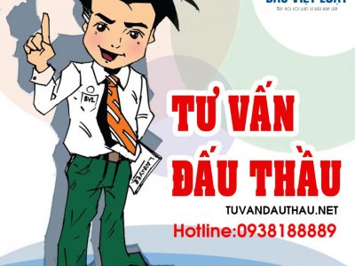 Quy trình tổ chức chào hàng cạnh tranh